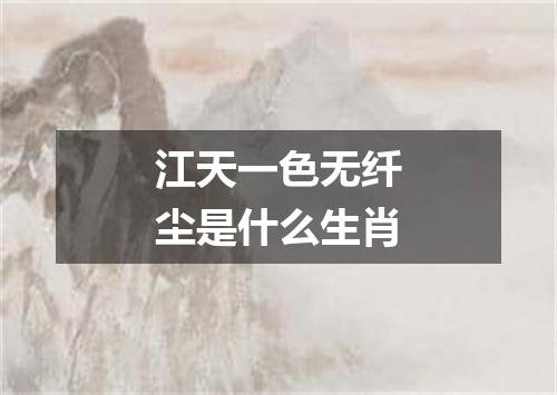 江天一色无纤尘是什么生肖