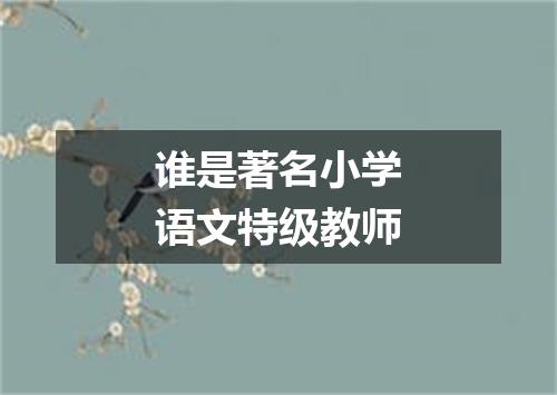 谁是著名小学语文特级教师