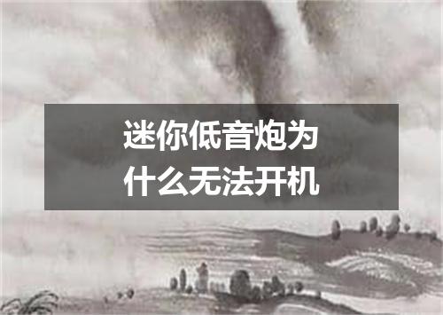 迷你低音炮为什么无法开机