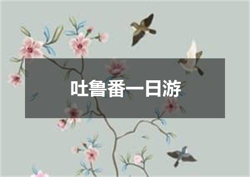 吐鲁番一日游