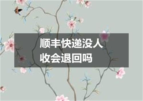 顺丰快递没人收会退回吗