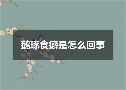 鹅琢食癖是怎么回事