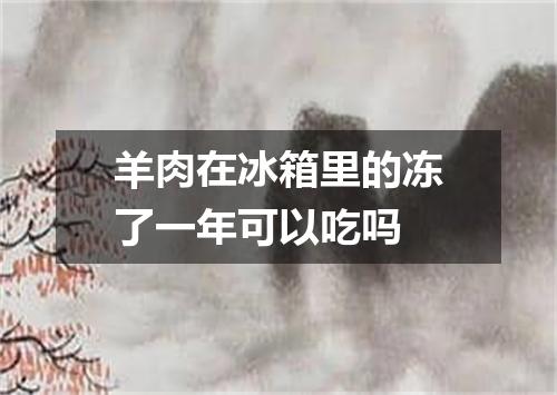 羊肉在冰箱里的冻了一年可以吃吗