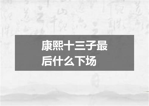 康熙十三子最后什么下场