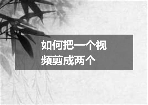 如何把一个视频剪成两个