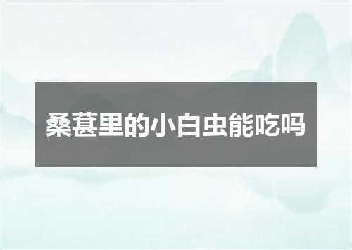 桑葚里的小白虫能吃吗