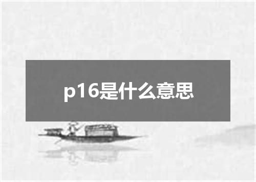 p16是什么意思