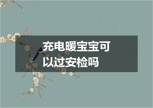 充电暖宝宝可以过安检吗