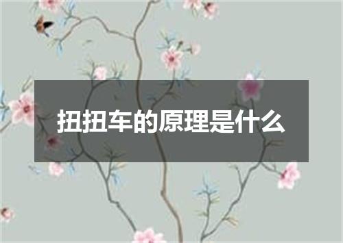 扭扭车的原理是什么