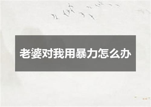 老婆对我用暴力怎么办