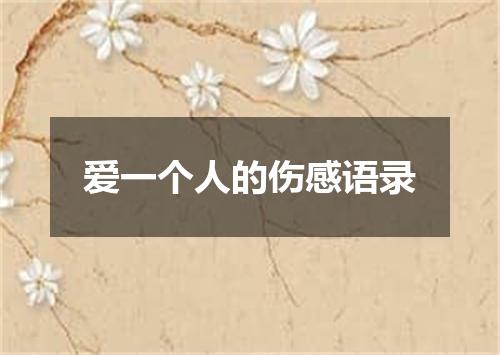 爱一个人的伤感语录