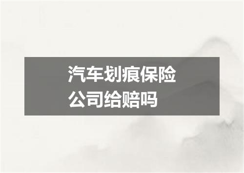 汽车划痕保险公司给赔吗