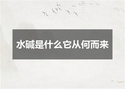 水碱是什么它从何而来