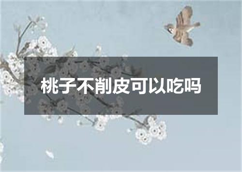 桃子不削皮可以吃吗