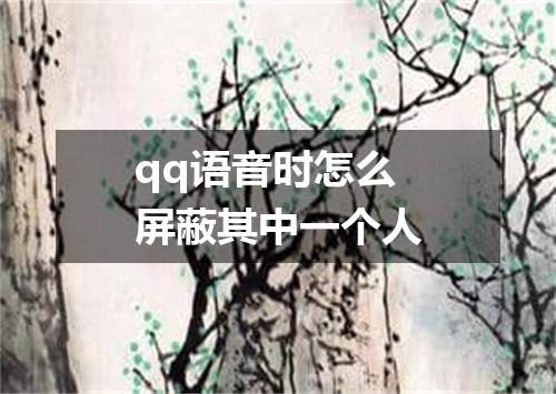 qq语音时怎么屏蔽其中一个人
