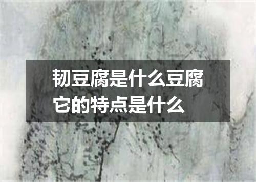 韧豆腐是什么豆腐它的特点是什么