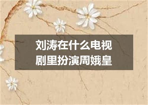 刘涛在什么电视剧里扮演周娥皇