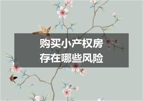 购买小产权房存在哪些风险