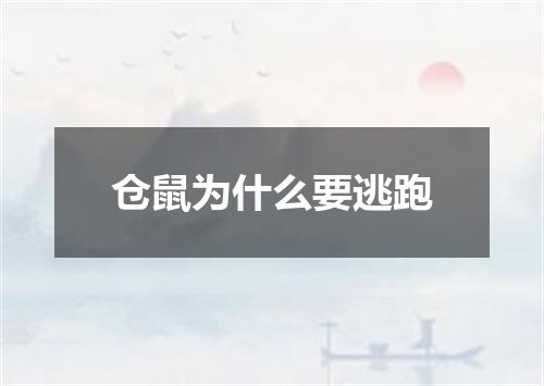 仓鼠为什么要逃跑