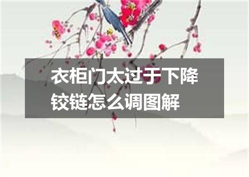 衣柜门太过于下降铰链怎么调图解