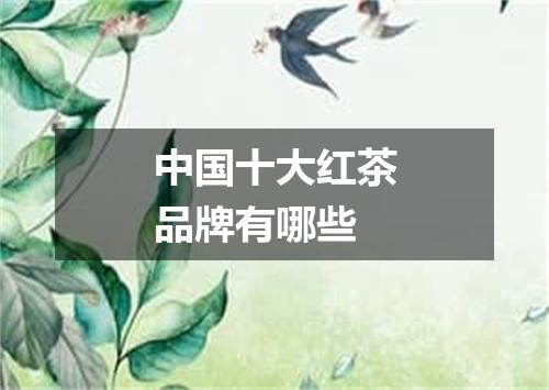 中国十大红茶品牌有哪些