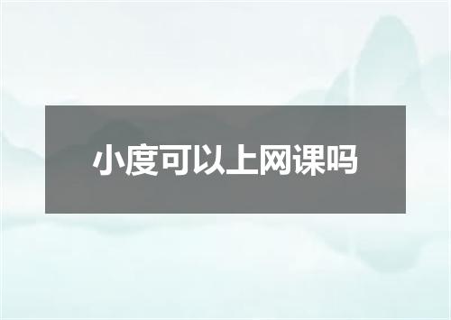 小度可以上网课吗