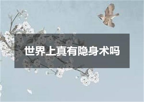 世界上真有隐身术吗
