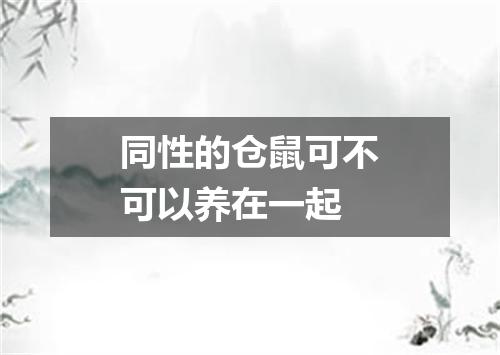 同性的仓鼠可不可以养在一起