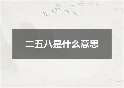 二五八是什么意思