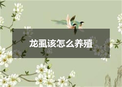 龙虱该怎么养殖