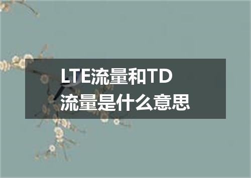 LTE流量和TD流量是什么意思