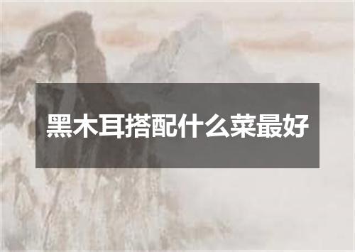 黑木耳搭配什么菜最好