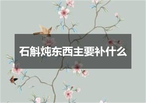 石斛炖东西主要补什么