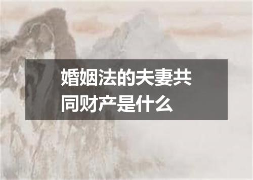 婚姻法的夫妻共同财产是什么