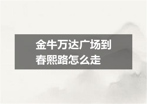 金牛万达广场到春熙路怎么走