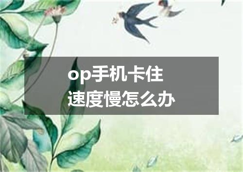 op手机卡住速度慢怎么办