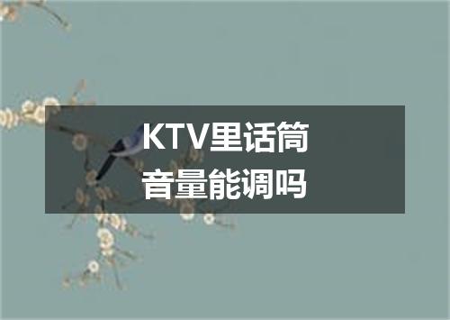 KTV里话筒音量能调吗