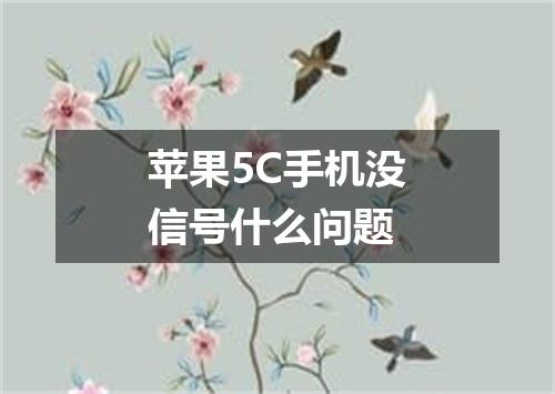 苹果5C手机没信号什么问题