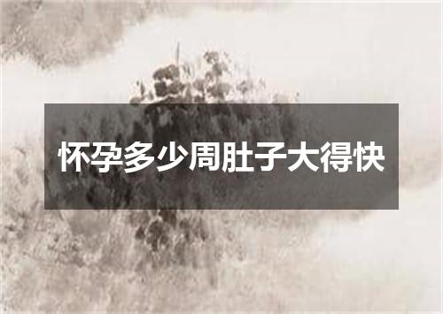 怀孕多少周肚子大得快