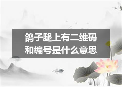 鸽子腿上有二维码和编号是什么意思