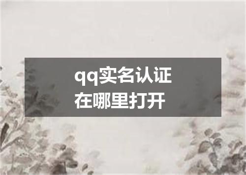 qq实名认证在哪里打开
