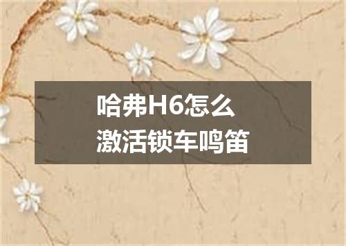 哈弗H6怎么激活锁车鸣笛