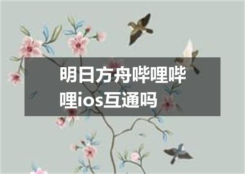 明日方舟哔哩哔哩ios互通吗