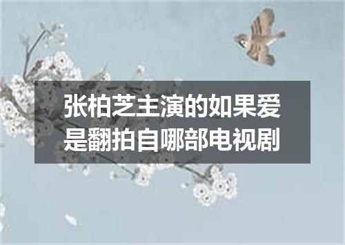 张柏芝主演的如果爱是翻拍自哪部电视剧