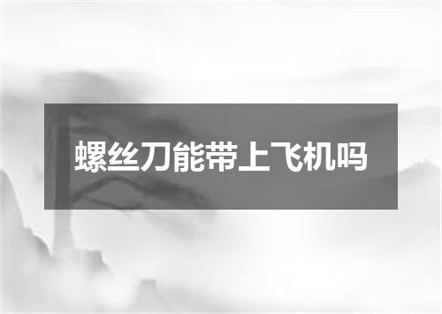 螺丝刀能带上飞机吗