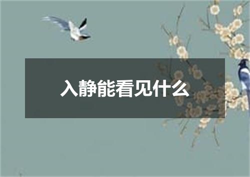 入静能看见什么