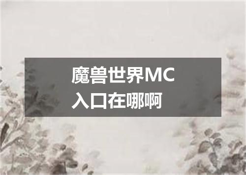魔兽世界MC入口在哪啊