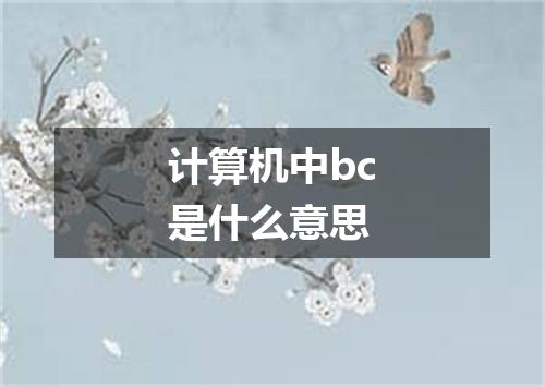计算机中bc是什么意思
