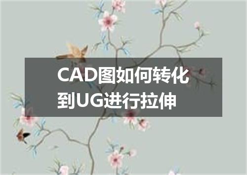 CAD图如何转化到UG进行拉伸