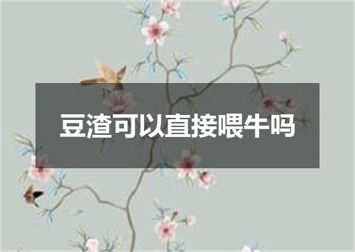 豆渣可以直接喂牛吗